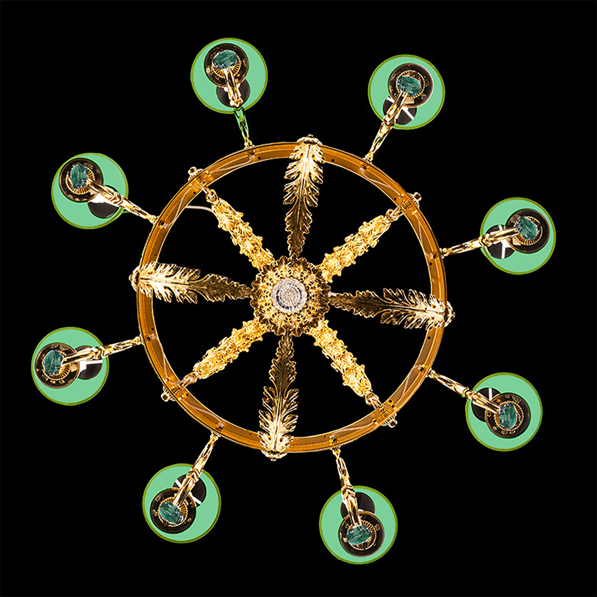 pavo5